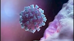 آشنایی با کرونا ویروس (کووید ۱۹) و تمهیدات لازم برای مقابله 